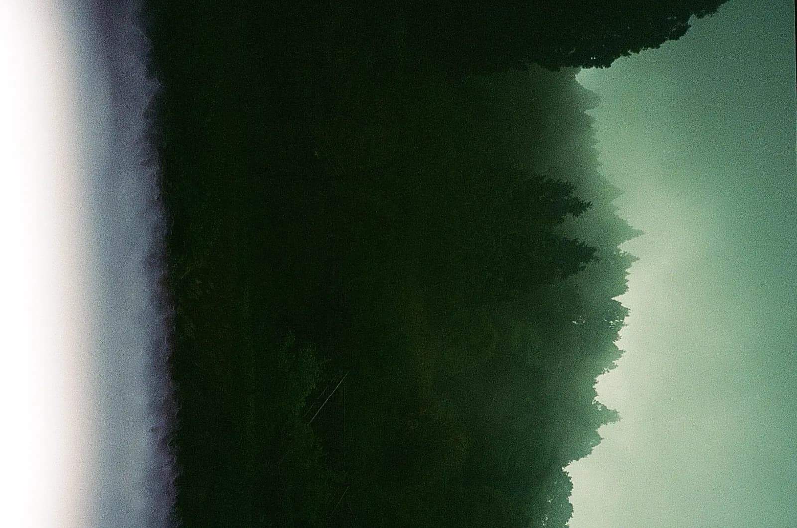 Film photograph of a misty forest, most of the scene obscured in darkness — representing the 70% of AI-referred traffic that never appears in standard analytics