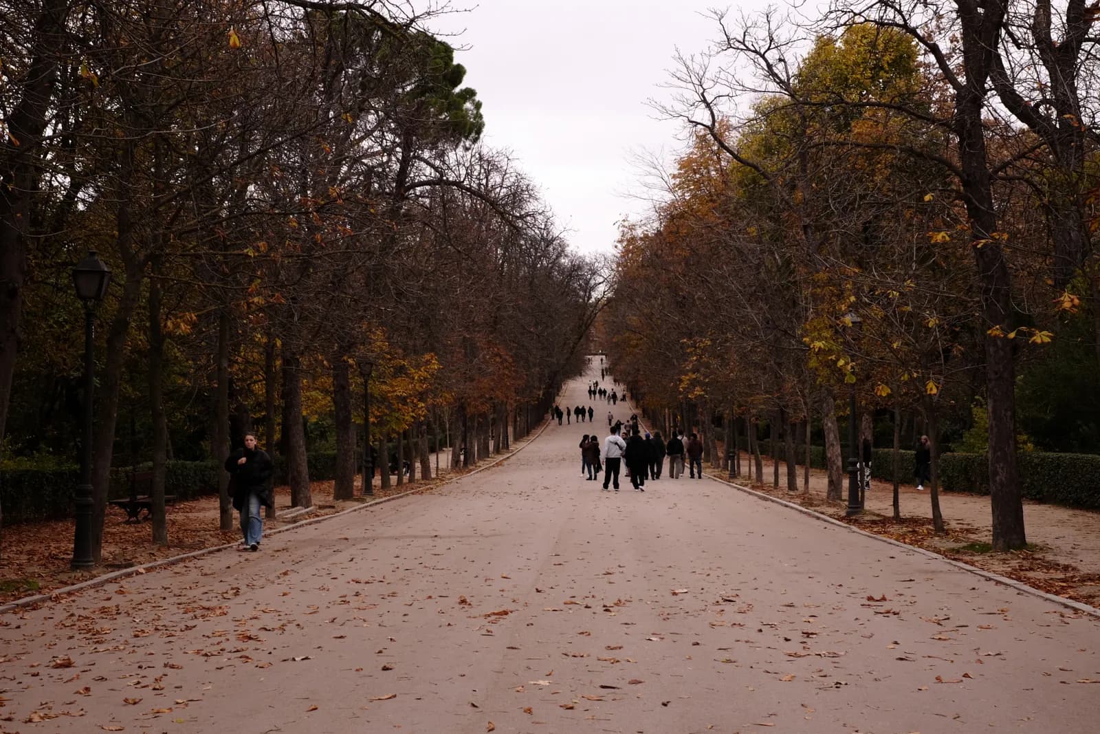 Tree-lined walkway in Retiro Park, Madrid, during autumn with fallen leaves covering the path and pedestrians walking in the distance.