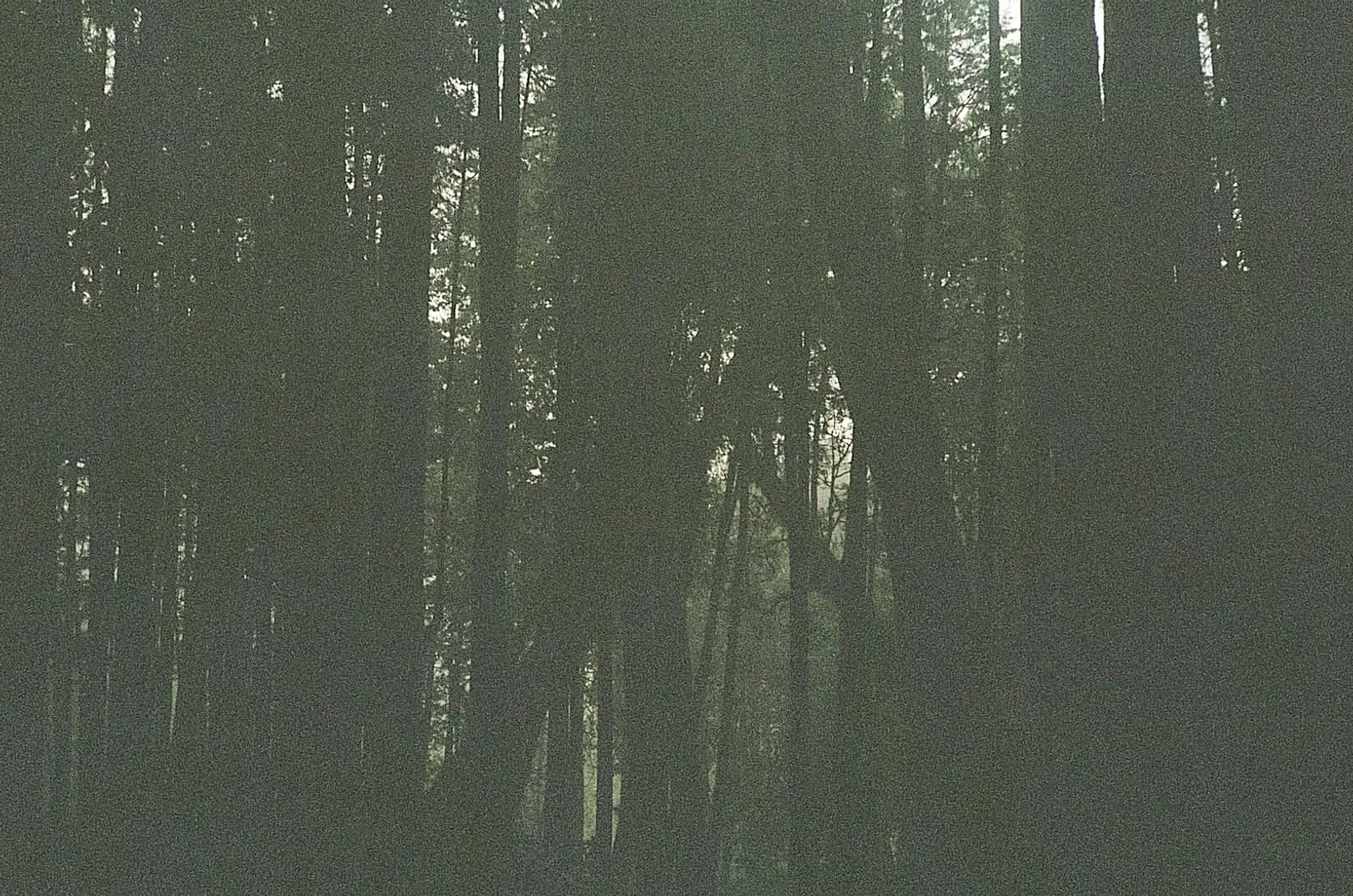 Film photograph of a foggy mountain landscape, representing the obscured view brands have of their AI visibility