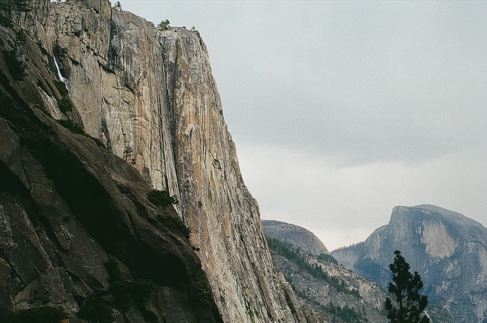 Film photograph representing the gap between GEO research findings and real-world practitioner results in AI visibility optimization