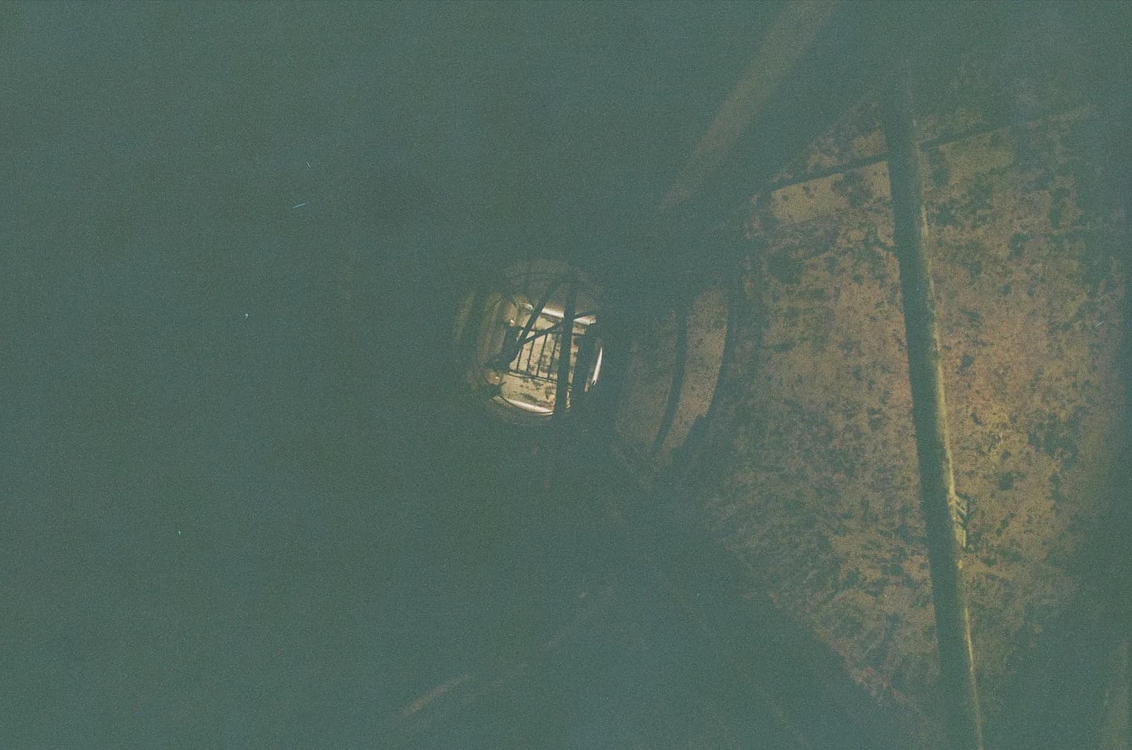 Film photograph representing the measurement challenge: seeing clearly through layers of complexity