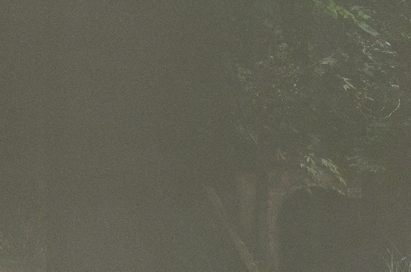 Abstract visualization representing the statistical signal within the noise of AI brand recommendations, with frequency patterns emerging from chaotic individual data points