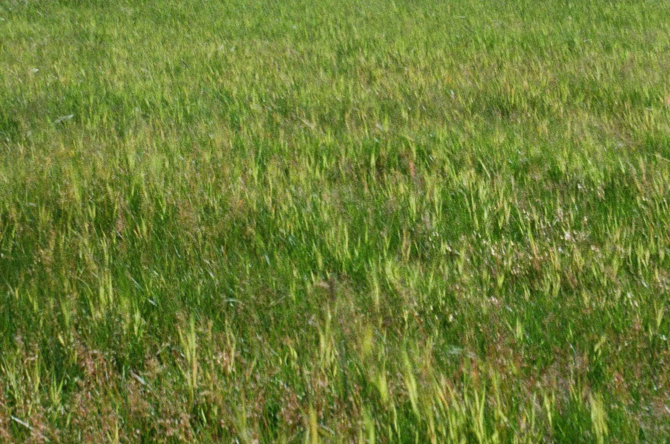 Sentiment Analysis feature background