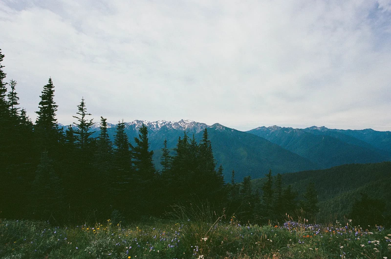 Film photograph representing the layered nature of AI chat interfaces, where surface interactions shape the brand recommendations real users receive.