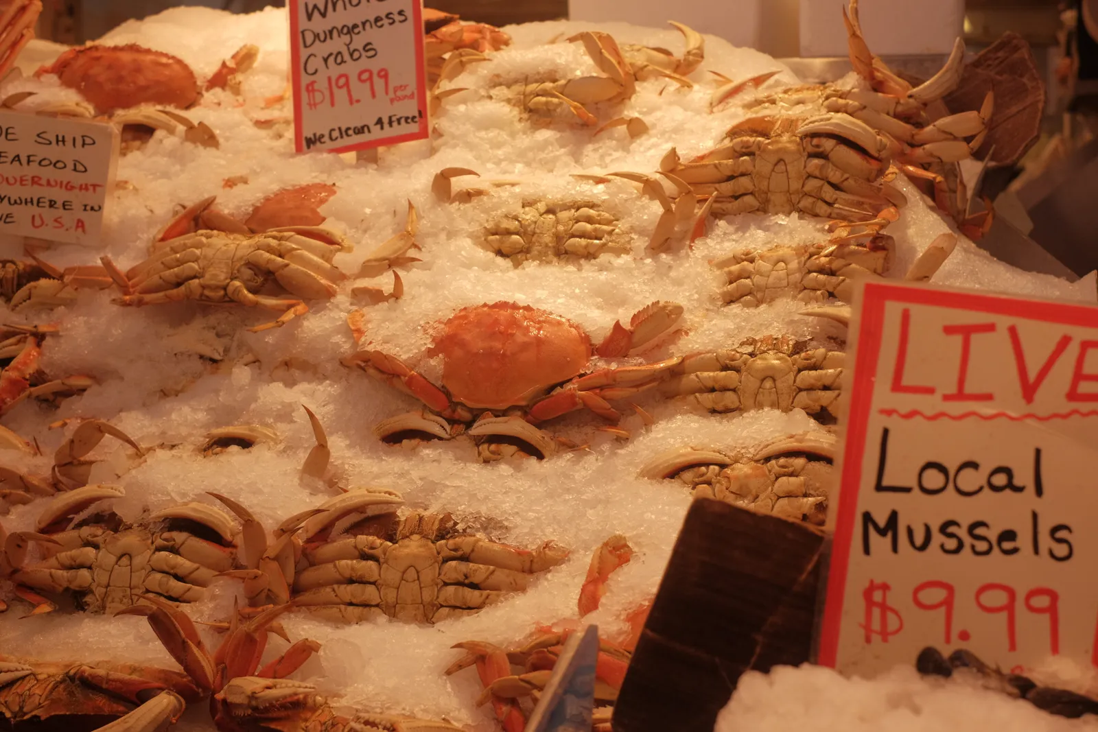 A fish market display with whole Dungeness crabs on ice and handwritten price tags, commerce with prices front and center.