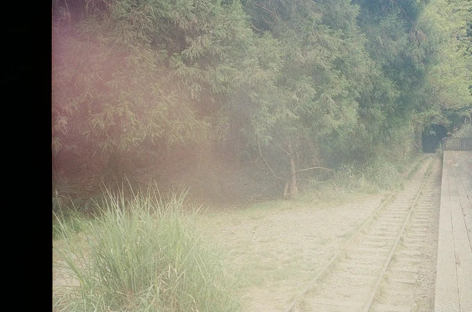 Film photograph of a moody landscape, representing the uncertainty brands face when trying to measure GEO results